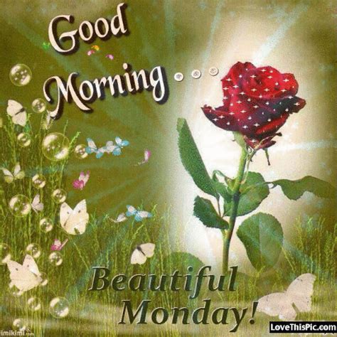 Good Morning Monday Gif Download - FinetoShine