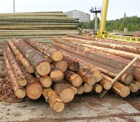 Spruce Logs - BMK WOODS UA