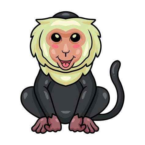 Cute little capuchin monkey cartoon 14328713 Vector Art at Vecteezy