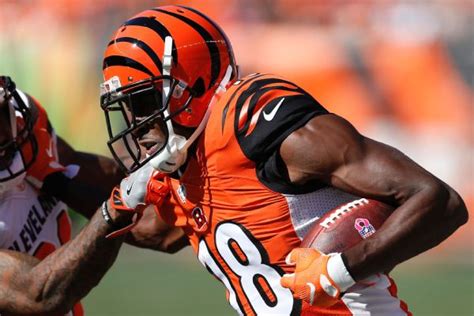 A.J. Green Stats, News, Videos, Highlights, Pictures, Bio - Cincinnati Bengals - ESPN