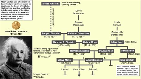 Albert Einstein Family Tree : r/UsefulCharts