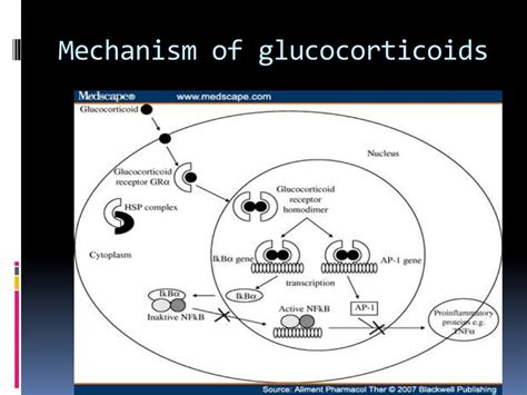 Mechanism of glucocorticoids