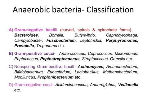 Anaerobic bacteria