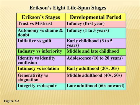 PPT - Child Development Theories PowerPoint Presentation - ID:174952