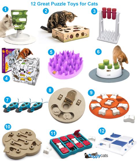 Puzzle Toys for Cats | Cat Games | Cat Interactive Toys