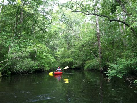 Pocomoke River State Park | Historic Horse Trails - Maryland Equine Heritage Trail Initiative