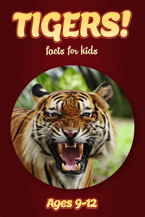 Tiger Facts – Kids Non Fiction Book (Ages 9-12) – clouducated