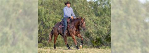 Canter With Confidence: Practice With the Right Horse