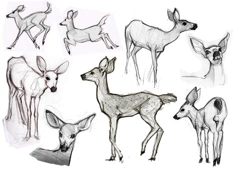 Alison's Art Blog: Animal Sketches