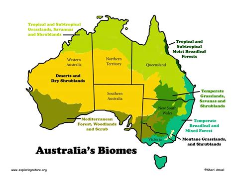 Australia - Habitats, Animals and Activities