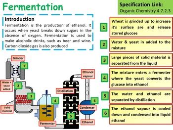 Chemistry (Science) Making Ethanol & Properties of Alcohols Lesson