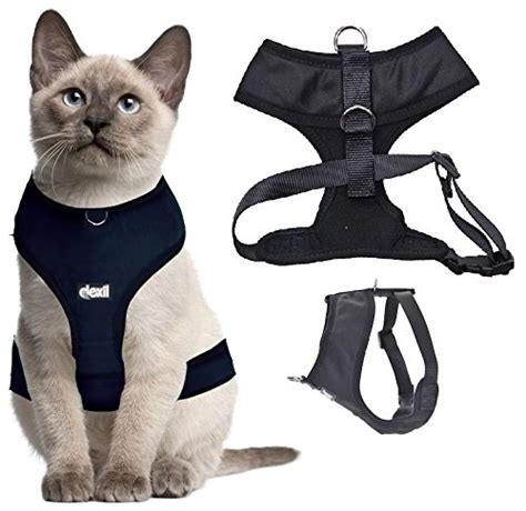 The 14 Best Cat Harnesses of 2021 | Cat Harness and Leash Reviews