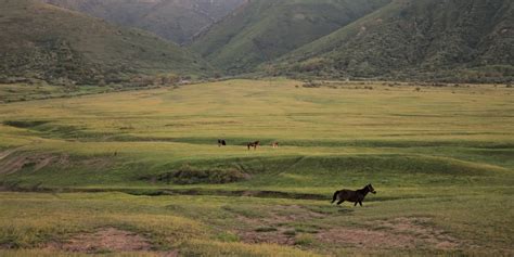 Le Kazakhstan | traditions des steppes | PointCulture