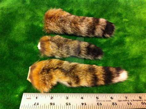 Bobcat tails for sale by KonekoKaburagi on DeviantArt