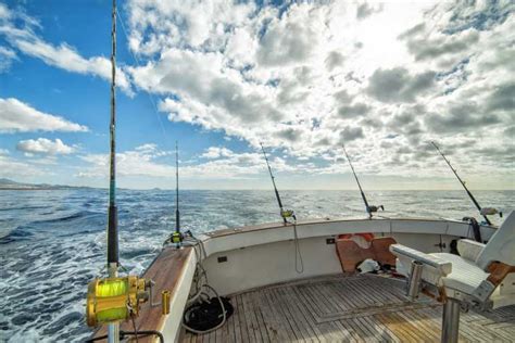 Deep Sea Fishing: Tips On Conserving Your Catch | Fishing.org