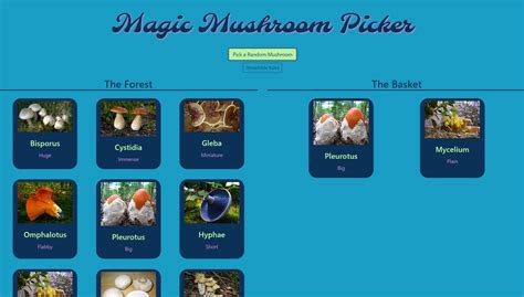 GitHub - ToddSpainhour/mushroom-picker