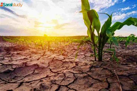 Top 10 Reasons for Droughts in India - SaralStudy