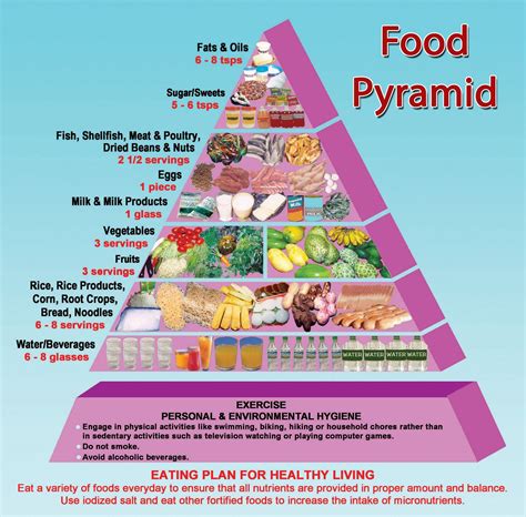 Types Of Food Pyramid