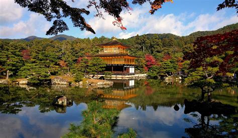 Discover Kinkakuji Temple, Kyoto's Golden Pavilion - Your Japan