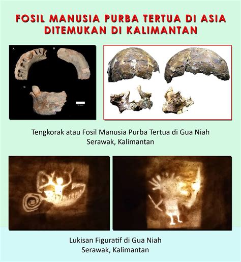 Tomi Poesaka Kapoeas: FOSIL MANUSIA PURBA TERTUA DI ASIA DITEMUKAN DI ...