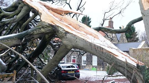 Storm Arwen: Armed forces being deployed in Scotland to areas cut off by extreme weather | UK ...