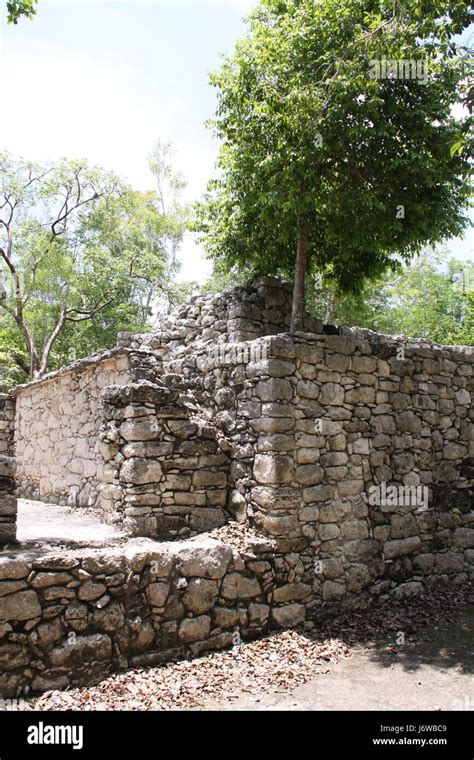 coba mayan ruins Stock Photo - Alamy