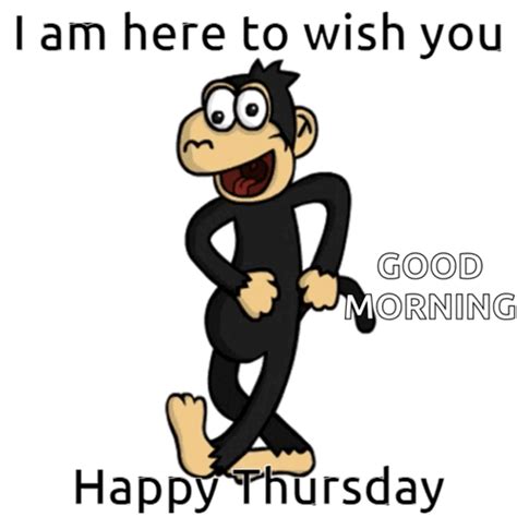 Monkey Thursday GIF – Monkey Thursday Dance – discover and share GIFs