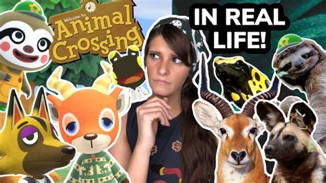 Animal Crossing Villagers IN REAL LIFE!! (according to a zoologist) - YouTube