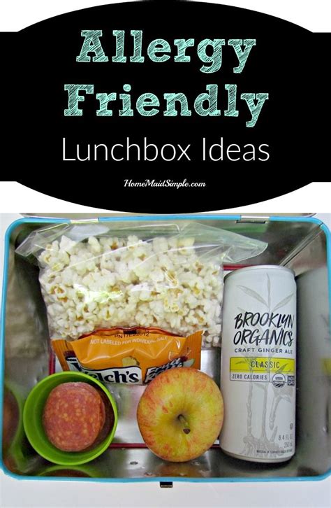 Allergy-Friendly Lunchbox Ideas: Nut-Free, Dairy-Free, Wheat-Free, and ...