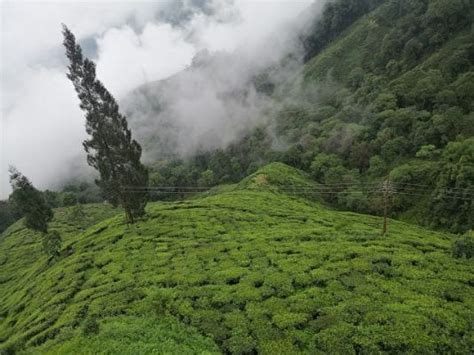 Riding the Darjeeling Ropeway | Darjeeling - What to Expect | Timings | Tips - Trip Ideas by ...