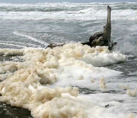 What is beach foam? | Science Illustrated