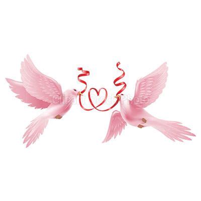 wedding doves Wedding Doves, Wedding Pics, Wedding Day, Love Bird Tattoo Couples, Nature ...