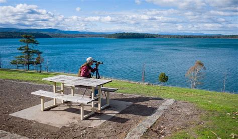 The best picnic spots near Melbourne to visit this summer