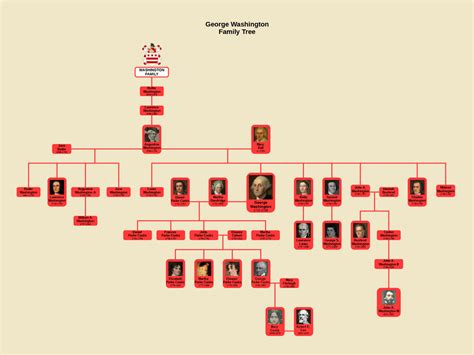 George Washington Family Tree : r/UsefulCharts