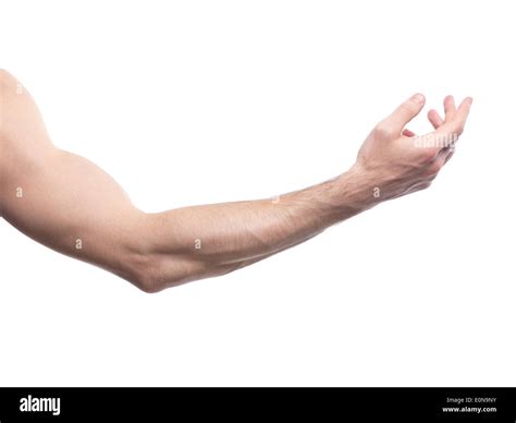 Man's arm bent at an elbow isolated on white background Stock Photo: 69310135 - Alamy