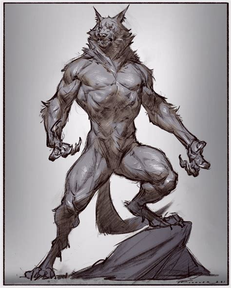 ArtStation - Character Sketches, Taran Fiddler | Werewolf drawing ...