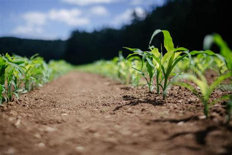 Ein weiteres aufsehenerregendes PFAS-Projekt der R & H Umwelt - R & H Umwelt