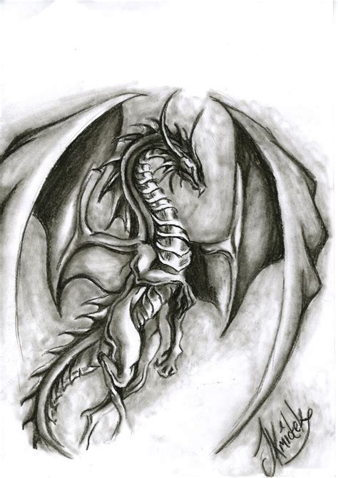 Charcoal Dragon Sketch by Boofcakes on DeviantArt