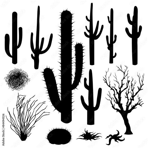 vector set of Silhouettes of cacti and other desert plants Stock Vector ...