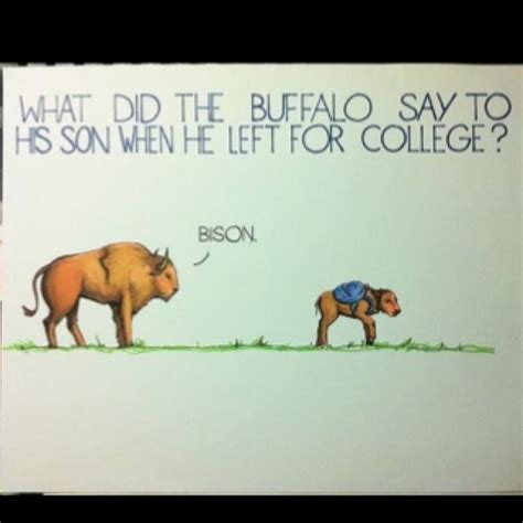 Buffalo Quotes. QuotesGram