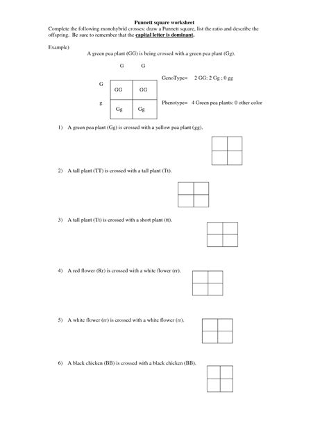 monohybrid cross worksheet