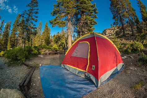 Camping in the Forest Photograph by Greg Nyquist - Fine Art America