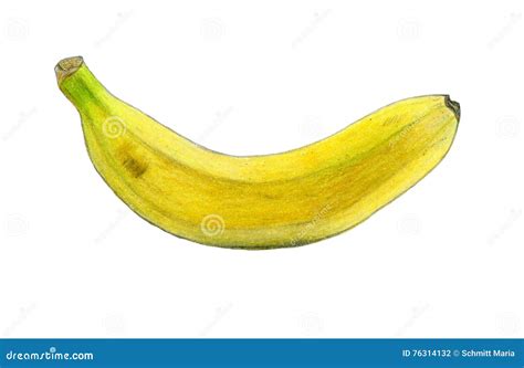 Banana Color Sketch Drawing Stock Illustration - Illustration of ...