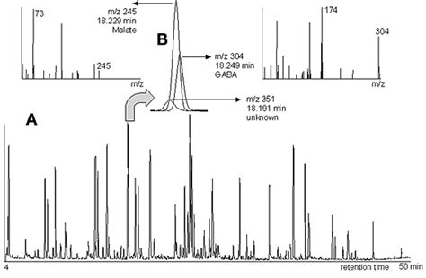 Metabolite profiling by GC/MS. Base peak intensity GC/MS chromatogram... | Download Scientific ...