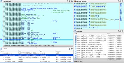 IDA Pro + Hex-Rays Decompilers