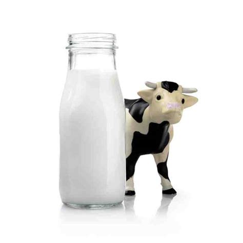 Organic Cow’s Milk (480 ml) | The Green Grocer Manila