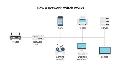 What Are the Different Types of Network Switches? | FS Community