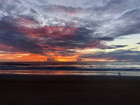 Ormond Beach Sunrise Photo - Wild Boyz Photography