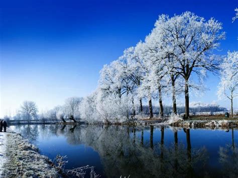 Paisagens naturais | Winter landscape, Scenery, Winter wallpaper