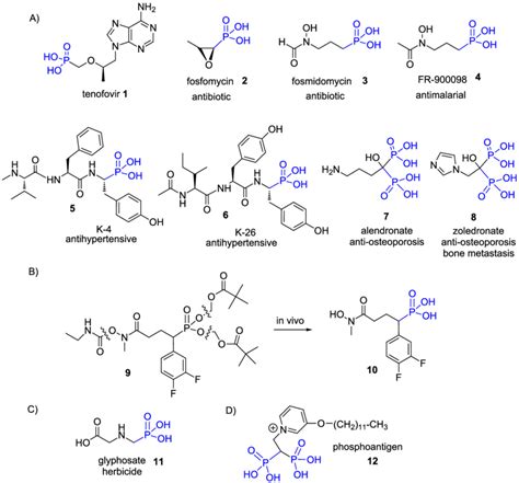 Illustration of some phosphonic acid exhibiting bioactive properties.... | Download Scientific ...